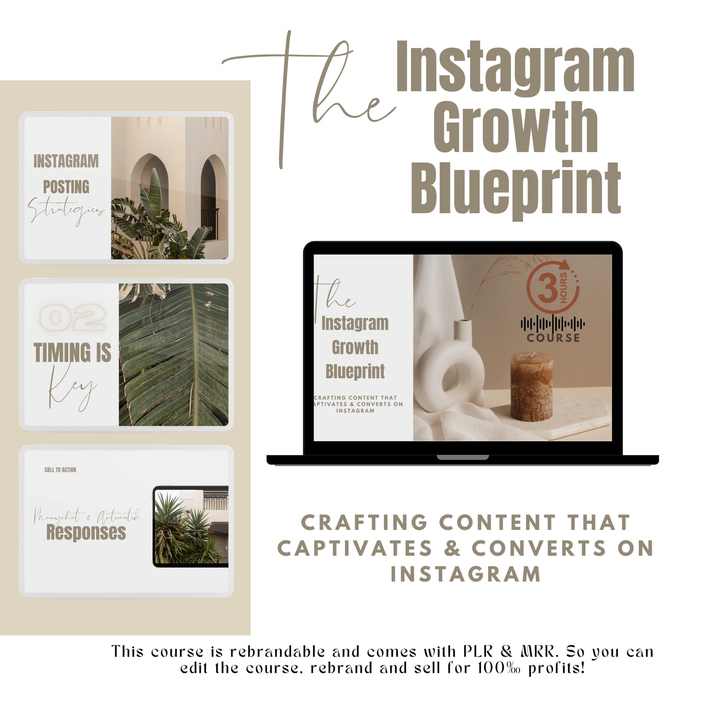 Instagram Growth Blueprint Course w/ PLR & MRR Gold Branding Media